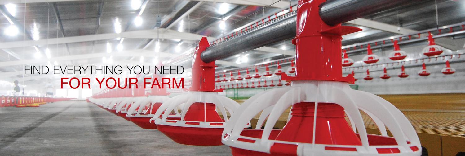 belmont running store